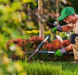 Caucasian Garden and Landscaping Services Contractor in His 40s with Hedge Shears Performing Spring Time Back Yard Maintenance.