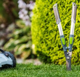 Garden Tools and Summer Backyard Maintenance Theme. Gardening Scissors and Grass Mower.